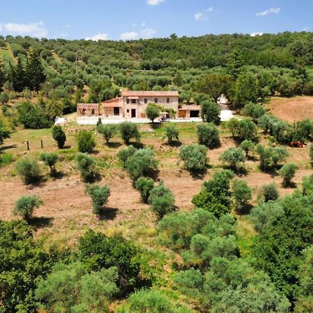 L'Oasi Delle Volpi Villa Tuoro sul Trasimeno Buitenkant foto