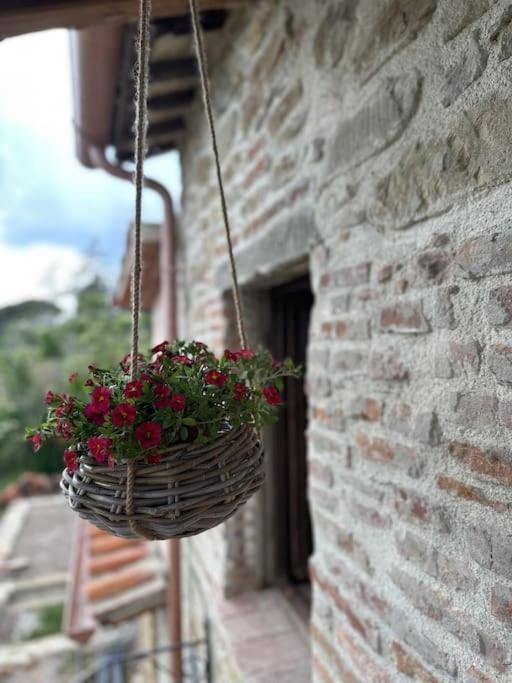 L'Oasi Delle Volpi Villa Tuoro sul Trasimeno Buitenkant foto