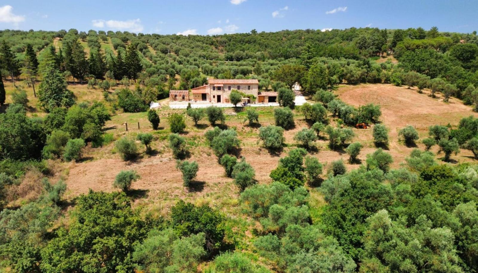 L'Oasi Delle Volpi Villa Tuoro sul Trasimeno Buitenkant foto